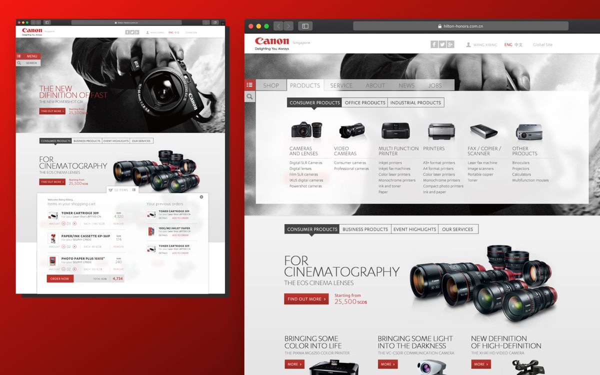 The home page and product category pages, with consumer, office and industrial product groups
