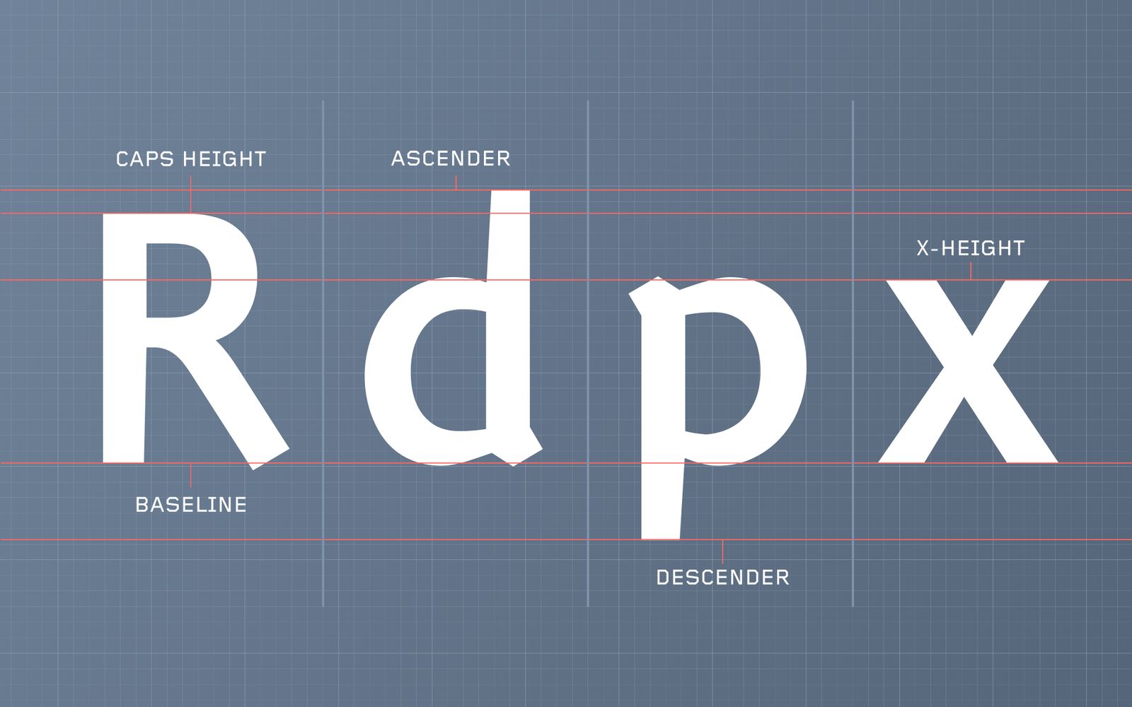 The metrics of the typeface, with baseline, x-height, cap height, ascender and descender marked on R, d, p and x
