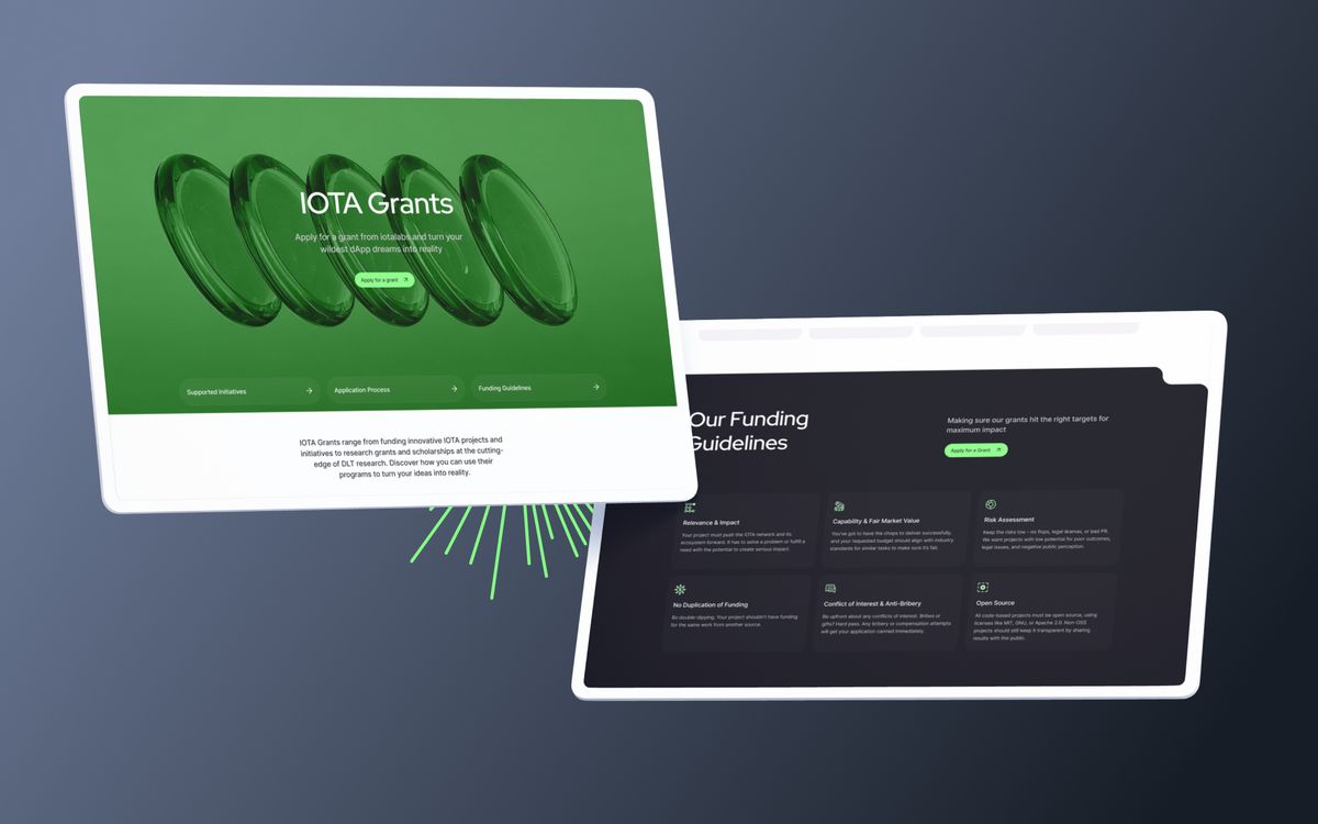 The grants page beside the funding guidelines, which set out relevance, value, risk and open source criteria