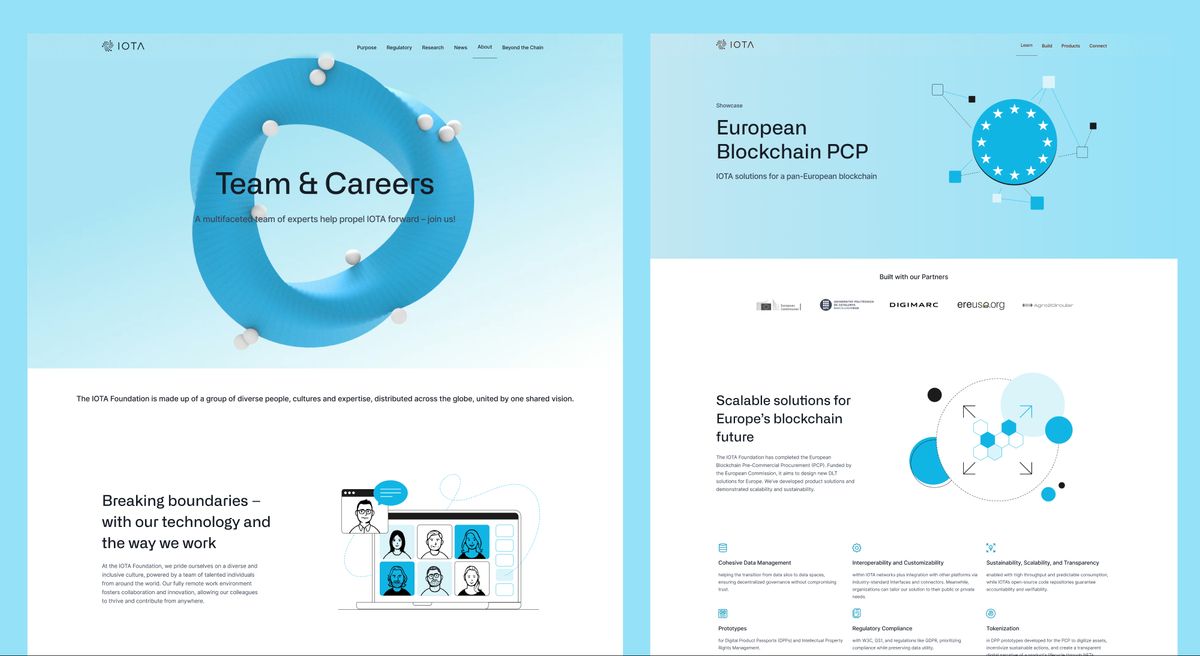The Team and Careers page beside the European Blockchain PCP showcase