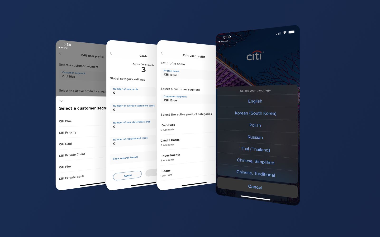 Prototype screens for selecting a customer segment, market and language